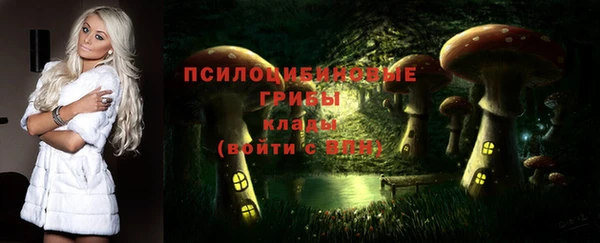 стафф Костерёво