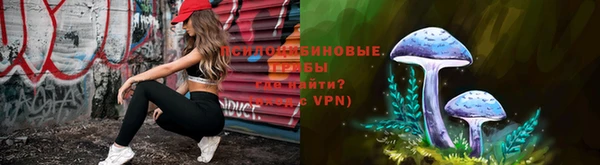 дживик Корсаков