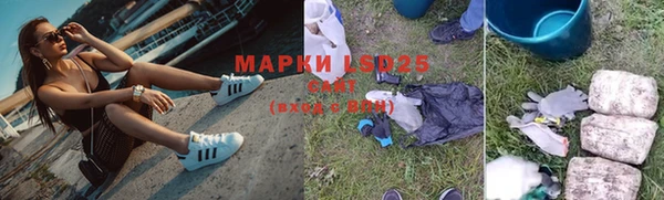 дживик Корсаков