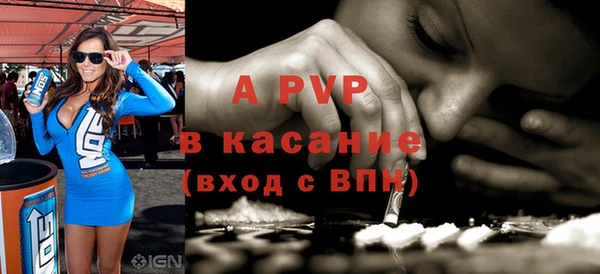 дживик Корсаков