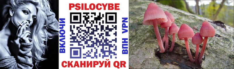 Купить  Малая Вишера  Галлюциногенные грибы мухоморы 