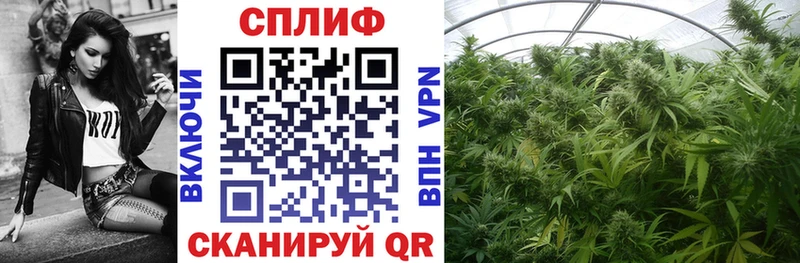 МАРИХУАНА тримм  Купить  Малая Вишера 